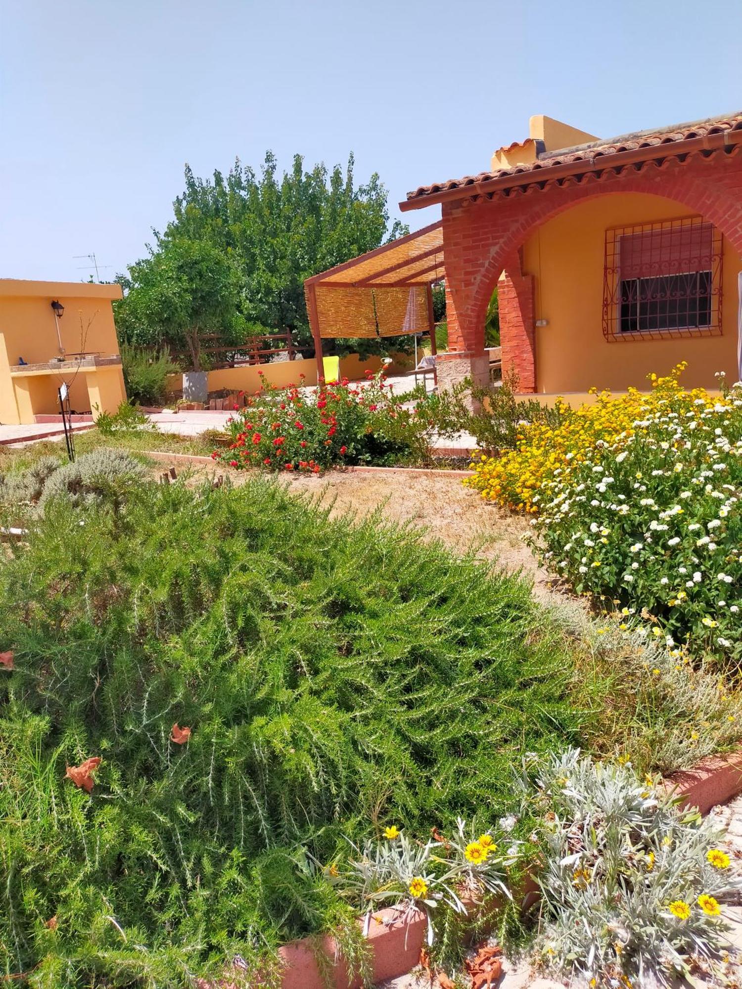 Casa Marina Lu Tuvaraggiu Casa Vacanze Sorso Eksteriør billede
